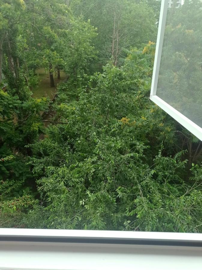Білі 1 Кімнатні Апартаменти Сіті- Центр 4 Поверх 9 Поверхового Будинку Nikolayev Luaran gambar